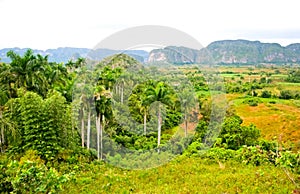 Vinales valley