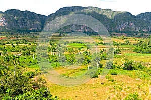 Vinales valley