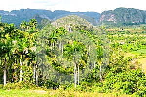 Vinales valley