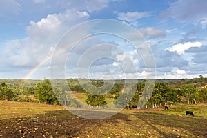 Vinales valley