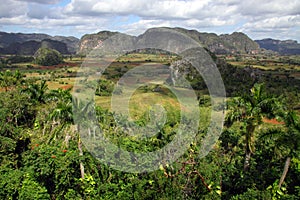 Vinales valley, cuba