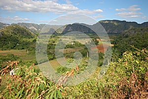 The Vinales valley in Cuba