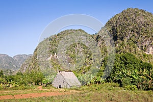 Vinales Valley, Cuba