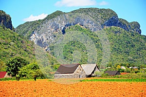 Vinales valley, Cuba