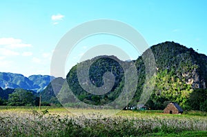 Vinales valley and its fields, Cuba