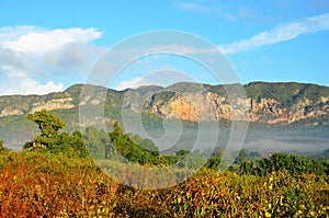Vinales valley in the morning mist, Cuba