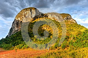 Vinales Valley Panorama - Cuba