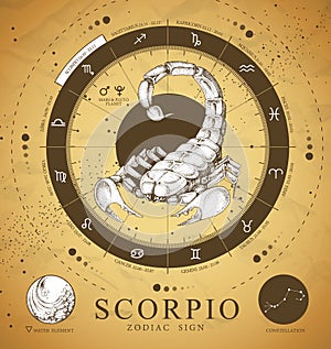 Vinatge magic witchcraft card with astrology Scorpio zodiac sign. Realistic hand drawing scorpion illustration.