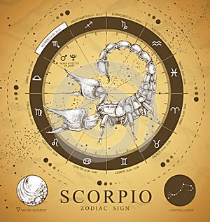 Vinatge magic witchcraft card with astrology Scorpio zodiac sign. Realistic hand drawing scorpion illustration. photo