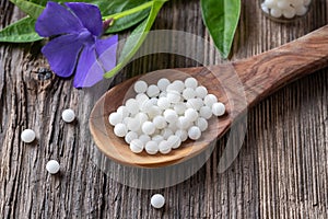 Vinca minor homeopathic remedy on a spoon