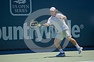 Vincent Spadea at the Los Angeles Tennis Open