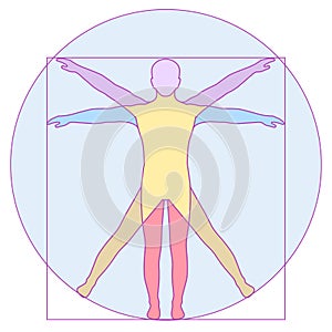 Vinci, icon Vetruvian Man, vector human body anatomy