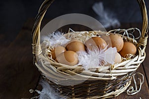 Vine basket filled with fresh chicken brown eggs, white feathers on a dark wooden background.