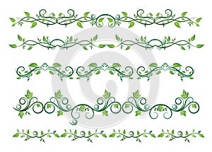 Vine border pattern photo