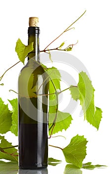 Vine and bottle