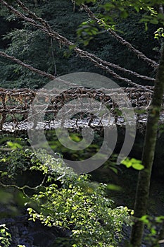 Vine bridge at Iya valley