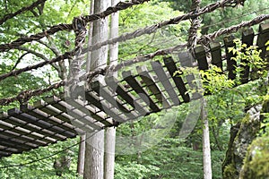 Vine bridge or Kazura bridge. A suspension bridge made of the plant called Shirakuchikazura.