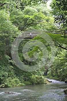 Vine bridge or Kazura bridge. A suspension bridge made of the plant called Shirakuchikazura.