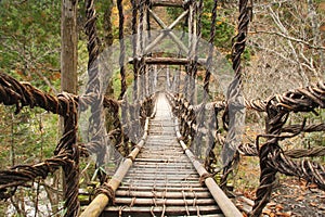 Vine Bridge (Kazurabashi)