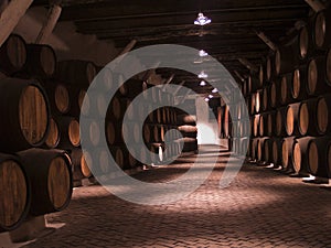 Vine cellar