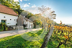 Vine cellar road in Weinviertel, Lower Austria