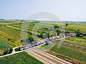 Vine cellars of Pillichsdorf in the Lower Austria region