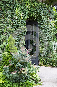 Vine covered building with flowers and wild roses and open french door - selective focus