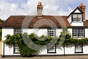 Vine covered old cottage, wargrave