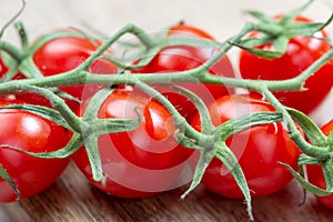 Vine of fresh ripe red cherry prunella tomates