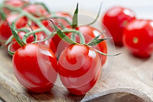 Vine of fresh ripe red cherry prunella tomates