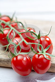 Vine of fresh ripe red cherry prunella tomates