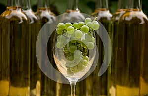 Vine Glass with Grapevine