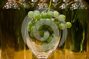 Vine Glass with Grapevine