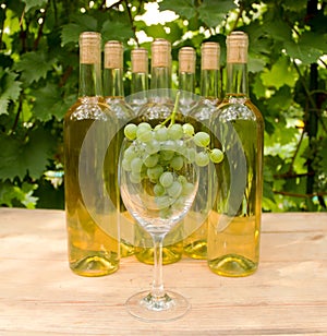 Vine Glass with Grapevine