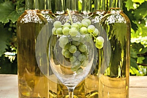 Vine Glass