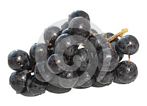 Vine grape