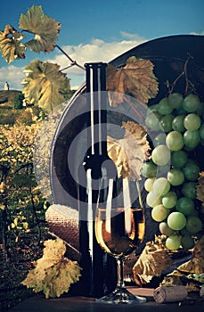 Vinná réva s vínem na dřevěný stůl