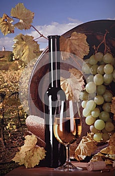 Viniča hrozna s vínom na drevenom stole