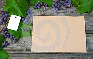 Vine with grapes and leaves on vintage rustic wooden table. Paper tag on leaves and old paper template in center