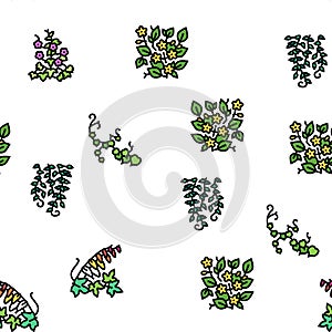 Vine Liana Exotic Growing Plant vector seamless pattern