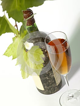 The Vine and old wine still-life