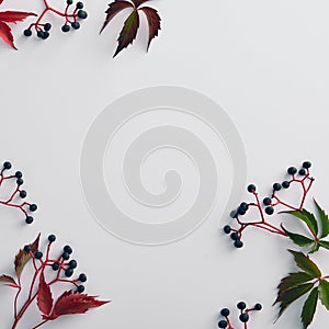 Vine red and green leaves background