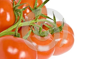 Vine Ripen Tomatoes photo