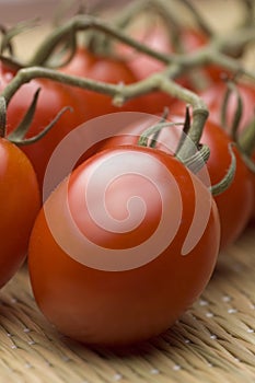 Vine ripened plum tomatoes photo