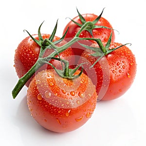 Vine-ripened tomatoes with dewdrops isolated