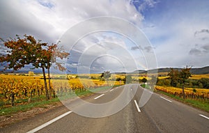 Vine Route Motorway photo