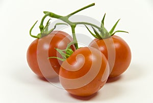 vine tomato on a white background
