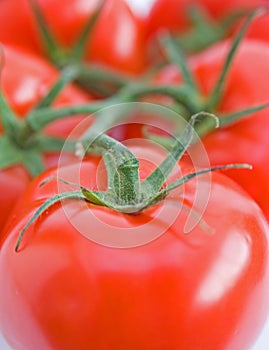 Vine tomatoes.