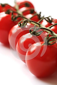 Vine Tomatoes Closeup