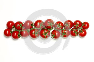 Vine tomatoes in a row on white